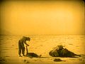 Greed, the 1924 film by Erich von Stroheim, is known for its reputation as the "holy grail" of lost films (the original 42-reel uncut version).