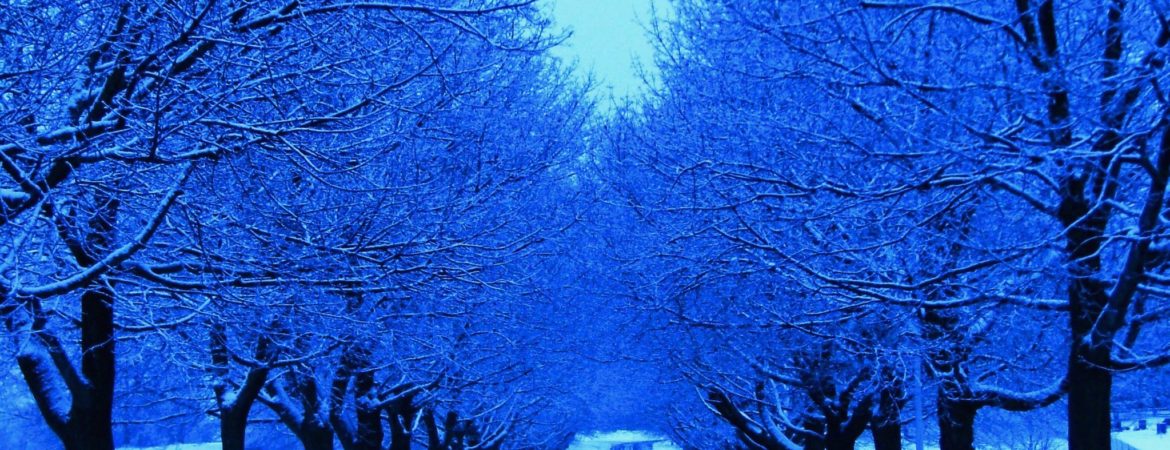 winter drive