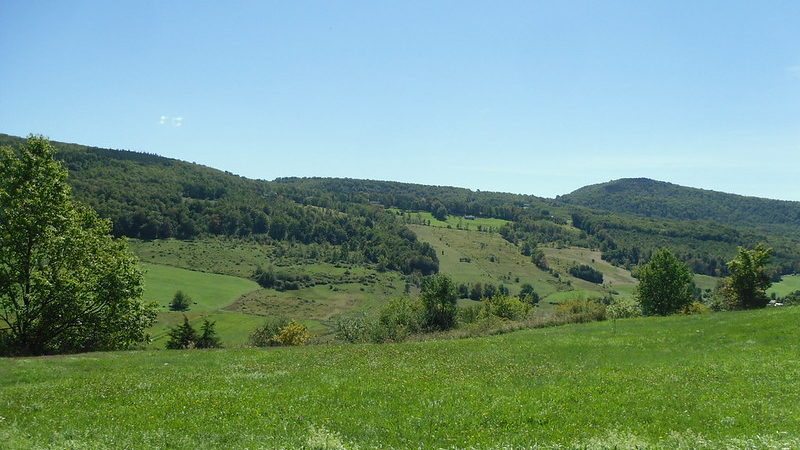 schoharie county new york