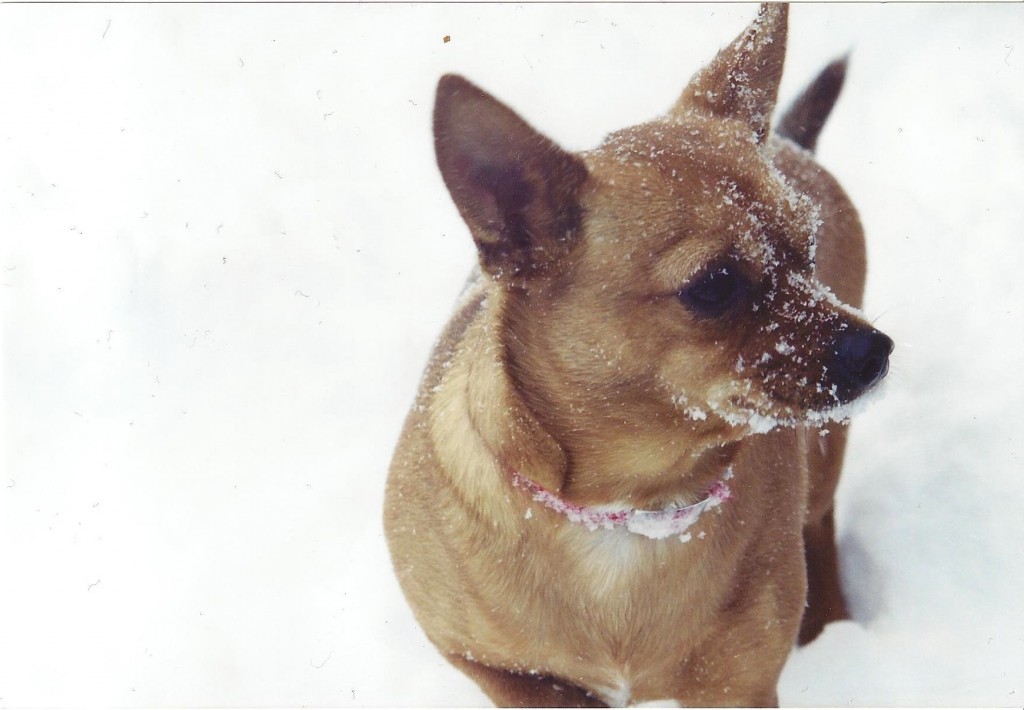 Maddie 300 DPI (1)